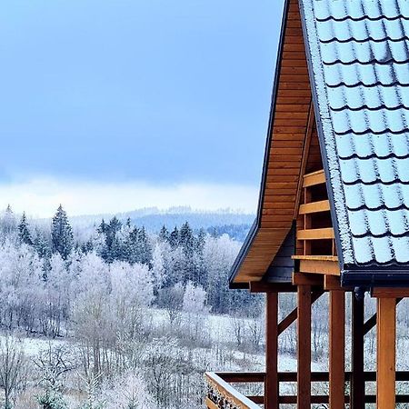 Osada Sierpnica - Uroczy Dom Z Kominkiem I Balia W Gorach Sowich Exteriör bild