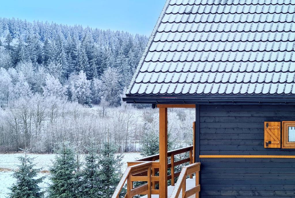 Osada Sierpnica - Uroczy Dom Z Kominkiem I Balia W Gorach Sowich Exteriör bild