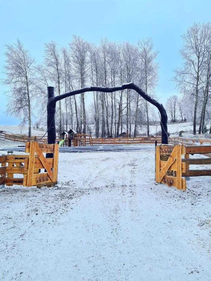 Osada Sierpnica - Uroczy Dom Z Kominkiem I Balia W Gorach Sowich Exteriör bild